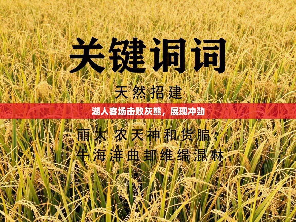 湖人客场击败灰熊，展现冲劲